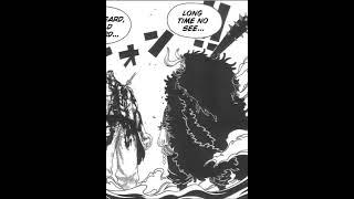 IF SHANKS DIDN"T STOP KAIDO.