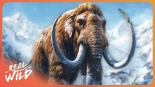 3 Hours Of Extinct Animals Facts To Fall Asleep To