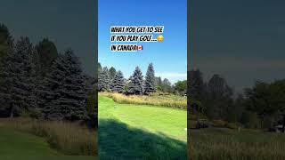 Breath-taking Golf Courses in Canada #golf #nature #travel #여행 #자연 #힐링 #golfcourse #canada #캐나다