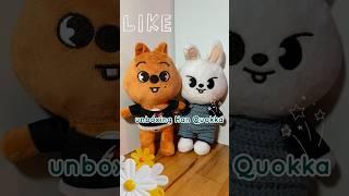 Unboxing skzoo Han Quokka ️ #kpop #hanjisung #minsung #leeknowstraykids