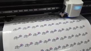 Plotter de recorte Roland CAMM-1 GS-24 em ação!