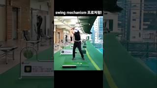 swing mechanism 프로처럼! #1분레슨 #골프 #골프스윙 #골프레슨 #swing #mechanism #골린이탈출 #골프연습 ##백스윙 #다운스윙 #장타 #일관성 #임팩트