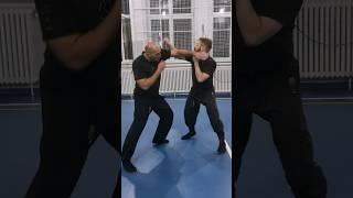 Seigan & Kosei application #ninjutsu #shadowwarrior #bujinkan #selfdefense #martialarts #ninja