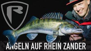 FOX RAGE TV   AUF ZANDER AM RHEIN | Alles was Ihr übers Zanderangeln vom Ufer wissen müsst‼️