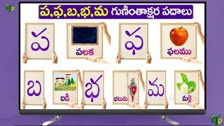 Pa Pha Ba Bha Ma Guninthalu Guninthakshara Padalu | ప ఫ బ భ మ గుణింత పదాలు @TeluguVanam​