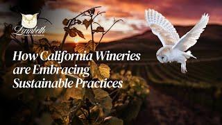 Sustainable Winemaking: The California Revolution