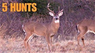 5 DEER HUNTS!  DEER HUNTING COMPILATION!