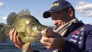 Fishing for Yellowbelly with Vibes - Reel Action TV