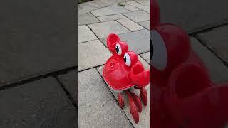 Crabby bubbles 🫧 🫧🫧 want to run away #shortvideo #viral #trending #asmr