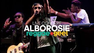 Alborosie, Amazing Live Performance at Reggae Geel Festival Belgium 2024