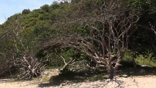 Tour Costero (Los Frailes, Pto. López e Isla del Salango) por MONTAÑITOURS