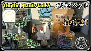 【オンプラ2024】植物イベント On the Plants Vol.7 出店と購入品紹介【アガベ】【多肉植物】