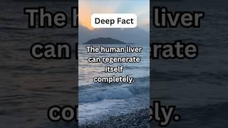 Deep Fact - The human liver can regenerate itself completely...#shorts #shortsviral #subscribe