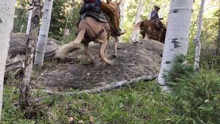 Extreme Mule Riding- Pack Trip Edition
