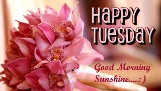 Good morning tuesday flowers images !! best good morning pictures