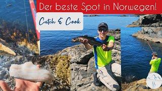 Uferangeln in Norwegen und Catch & Cook | Die beste Angelstelle in Norwegen?