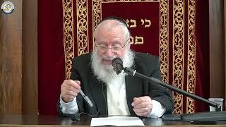 The Mitzvah of Teshuvah | Weekly Shiur by Harav Asher Weiss Shlita (5784)