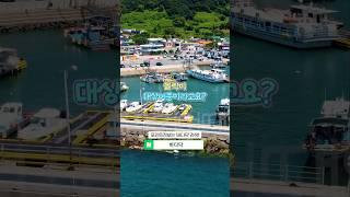 통영 볼락,갑오징어 낚시포인트!!