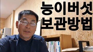 자연산 능이버섯 냉동보관 가능합니다