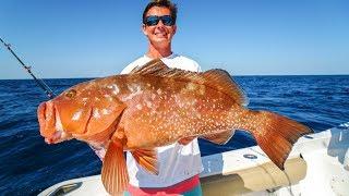 DEEP Sea Grouper!  Catch Clean Cook! (Deep Sea Gulf Bottom Fishing)