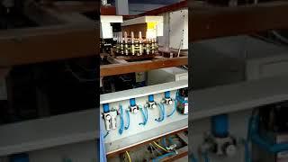 750ML Four Cavity Automatic PET Blow Moulding Machine by JP Machinery