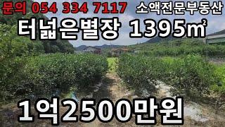 (NO.170) 영천땅 영천부동산 터넓은별장 1395㎡ (422평)  1억2500만원       땅사모TV