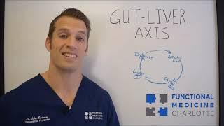 Fatty Liver Disease, Probiotics, and the Gut-Liver Axis - Functional Nugget #446