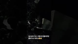 언니도 고양이는 처음이라 잘 몰라 미안해️