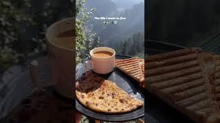 Living Alone in Himachal Pradesh | Living in Mountains | Shifted to the mountains
