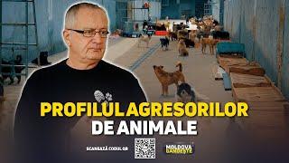 Violența față de animale devine, la unii, violență față de oameni. Cum ajung ucigași ori violatori