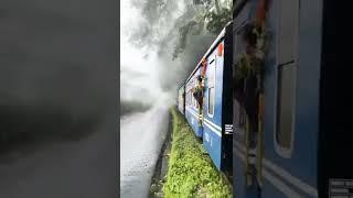 Darjeeling himalayan railway toy train Njp to darjeeling tour India 1st train  #railway