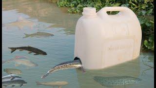 How to Make Easy Fish Trap Using Plastic Bottle