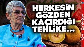 Kavun, Karpuz ve Şeker Hastalığı! Canan Karatay Herkesin Gözden Kaçırdığı Tehlikeyi Anlattı