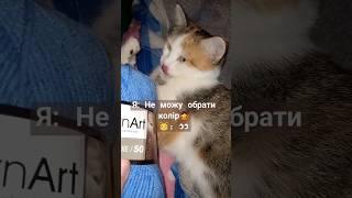 Киця та ще помічниця!  #shorts #animals #cat #котики #funnyvideo #kitten