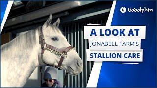 Stallion care at Jonabell Farm