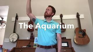 Aquarium Move-it