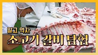 1++ 등급 소고기 갈비 부위 발골! #3 알고 먹자 소고기 갈비 탐험