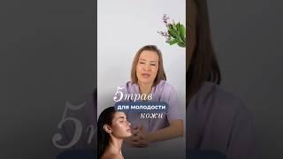 5 Трав для Молодости кожи|Проект лаборатория красоты dr. Bedran| Nataliia Bedran #shorts #молодость