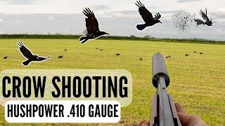 DECOYING CROWS | HUSHPOWER .410 GAUGE SHOTGUN | CROW SHOOTING OVER SECOND CUT | PEST CONTROL