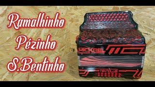 RAMALHINHO | PÉZINHO | S.BENTINHO - MEDLEY CONCERTINA