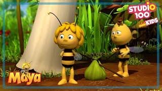 Honey for the sniffles - Maya the bee - Studio100 miniKIDS 