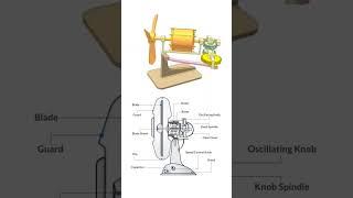 Swing Fan | Inside Mechanism