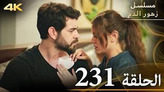 الحلقة 231 | مسلسل زهور الدم | مدبلج بالعربية | Kan Çiçekleri | جودة 4K