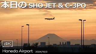 【ゴーアラ】JAL A350 大谷翔平 Jet , ANA B772 C-3PO , ANA B787 Go Around 羽田空港 ライブカメラ Haneda Airport