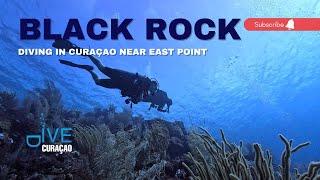 Scuba Diving the Black Rock Dive Site in Curaçao: An Epic Diving Experience