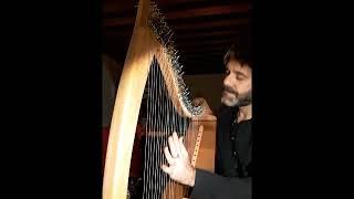 Cáit Ni Dhuibhir- Irish harp