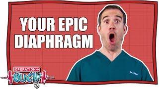 The Epic Abilities of Your Diaphragm | Operation Ouch | Nugget