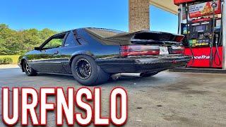 Stick-shift, Whipple, Coyote swap street MONSTER fox body!