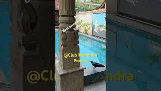 Private pool villas in kerala #clubmahindra #Kerala #poovar