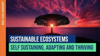 Sustainable Ecosystems: Self Sustaining, Adapting and Thriving | Did You Know? | THRIVE